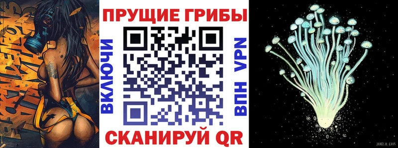 Купить закладки  Подольск  Псилоцибиновые грибы прущие грибы 